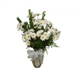 L'arrangement de marguerites blanches